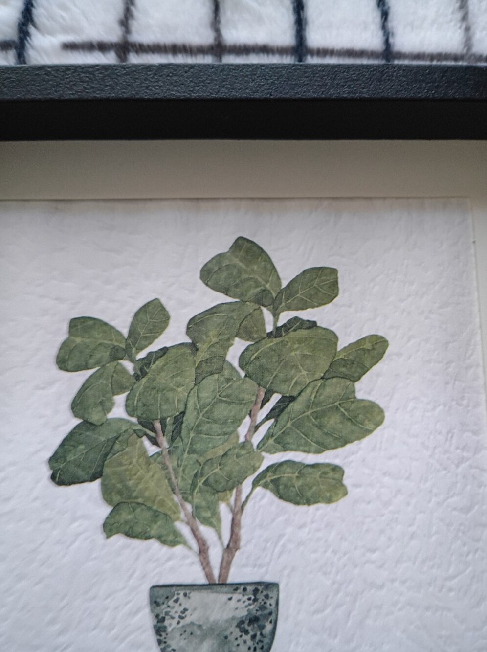 Set of 3 Framed Botanical Prints - Green Plant Art NO FLAWS - Picture 2 of 6